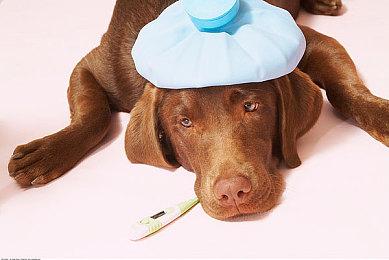 《艾尔登法环》公开倒计时预告 受难即将开启